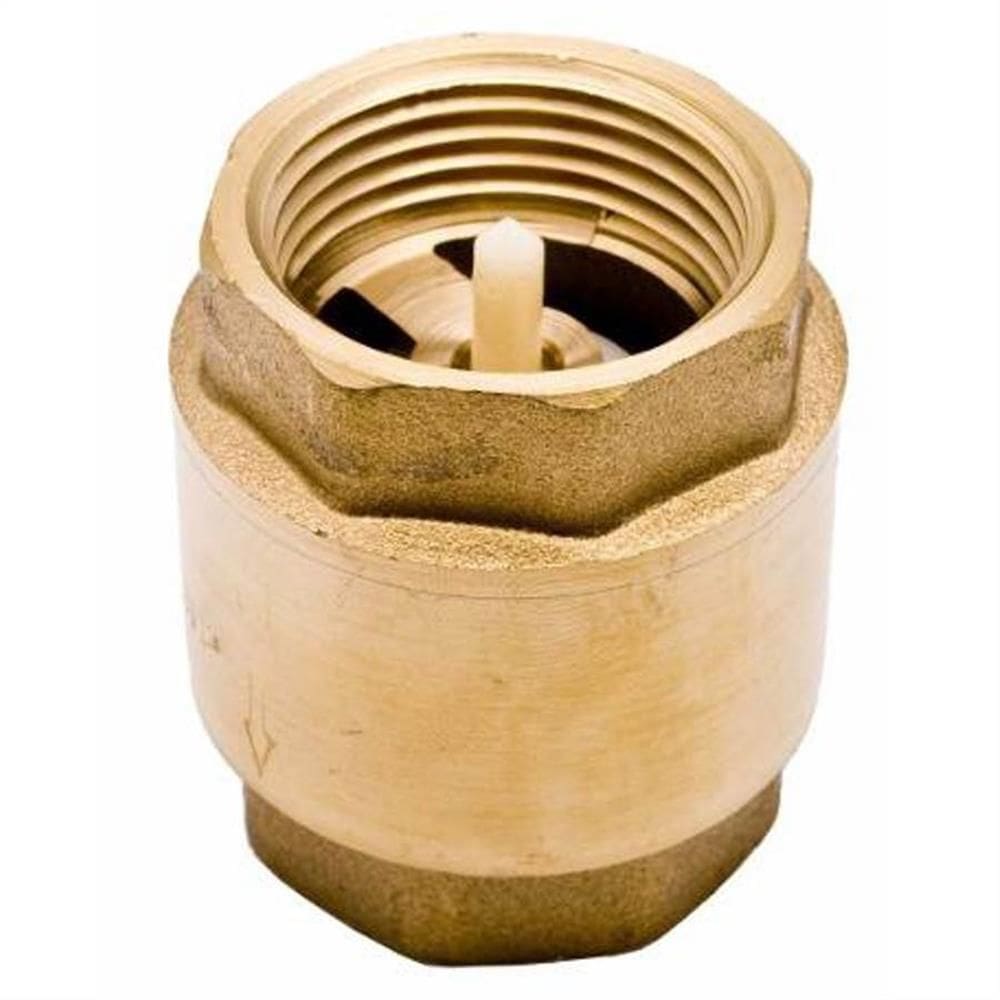 Válvula de Retenção Vertical Metal 2`- RMD/R150F - REMADI