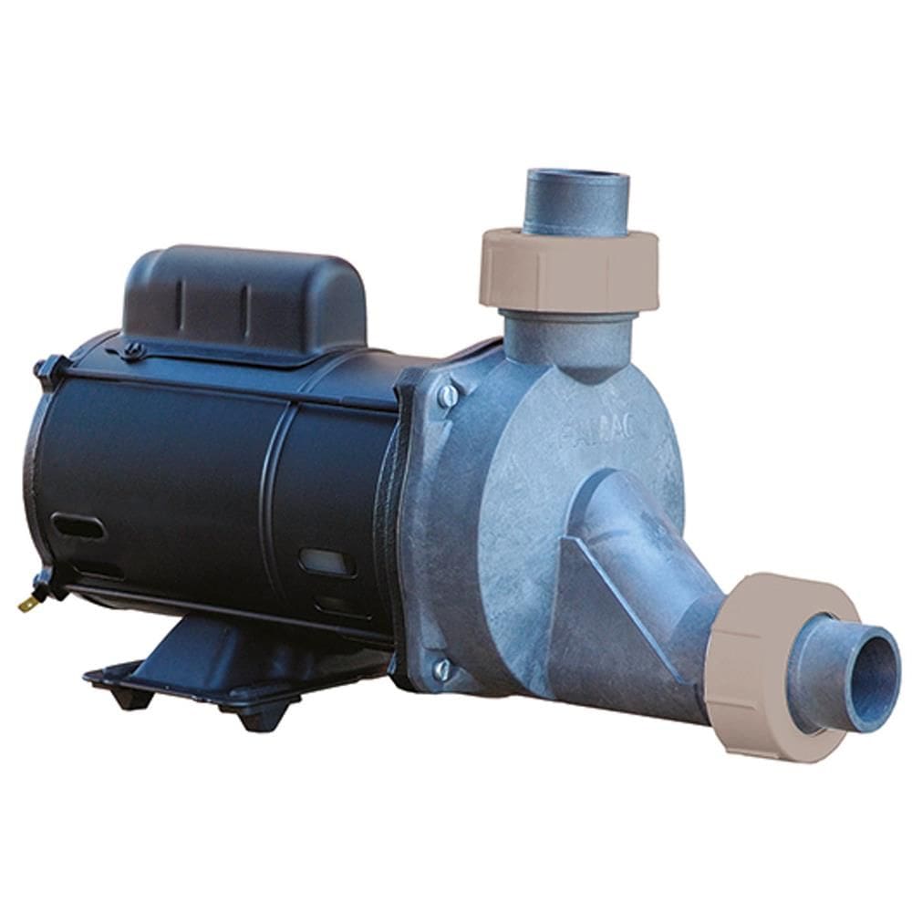 Motobomba Para Hidromassagem FHG 1/2CV - 41411200 - FAMAC