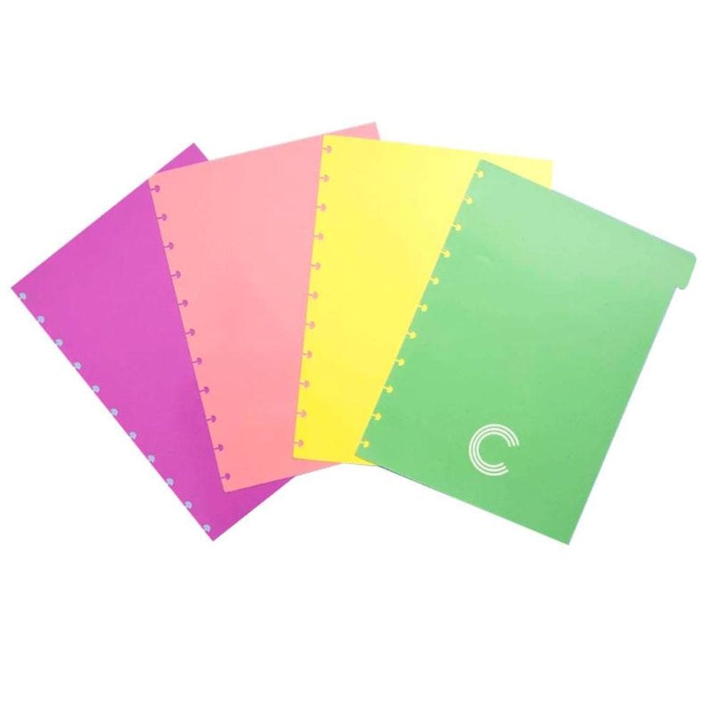 Divisória grande 4 abas pastel CIDG4003 Caderno Inteligente