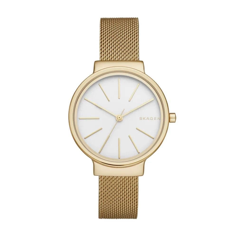 Relógio Skagen Feminino Tbd Skw2477/4bn