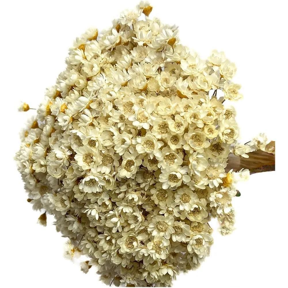 Buque Arranjo Flores Artificiais Sintéticas Realistas Secas