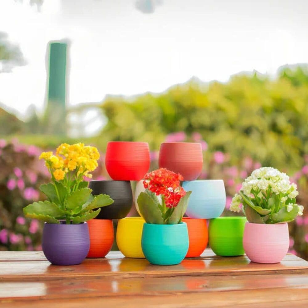 Vaso Baby Ball Vinho - ALL GARDEN