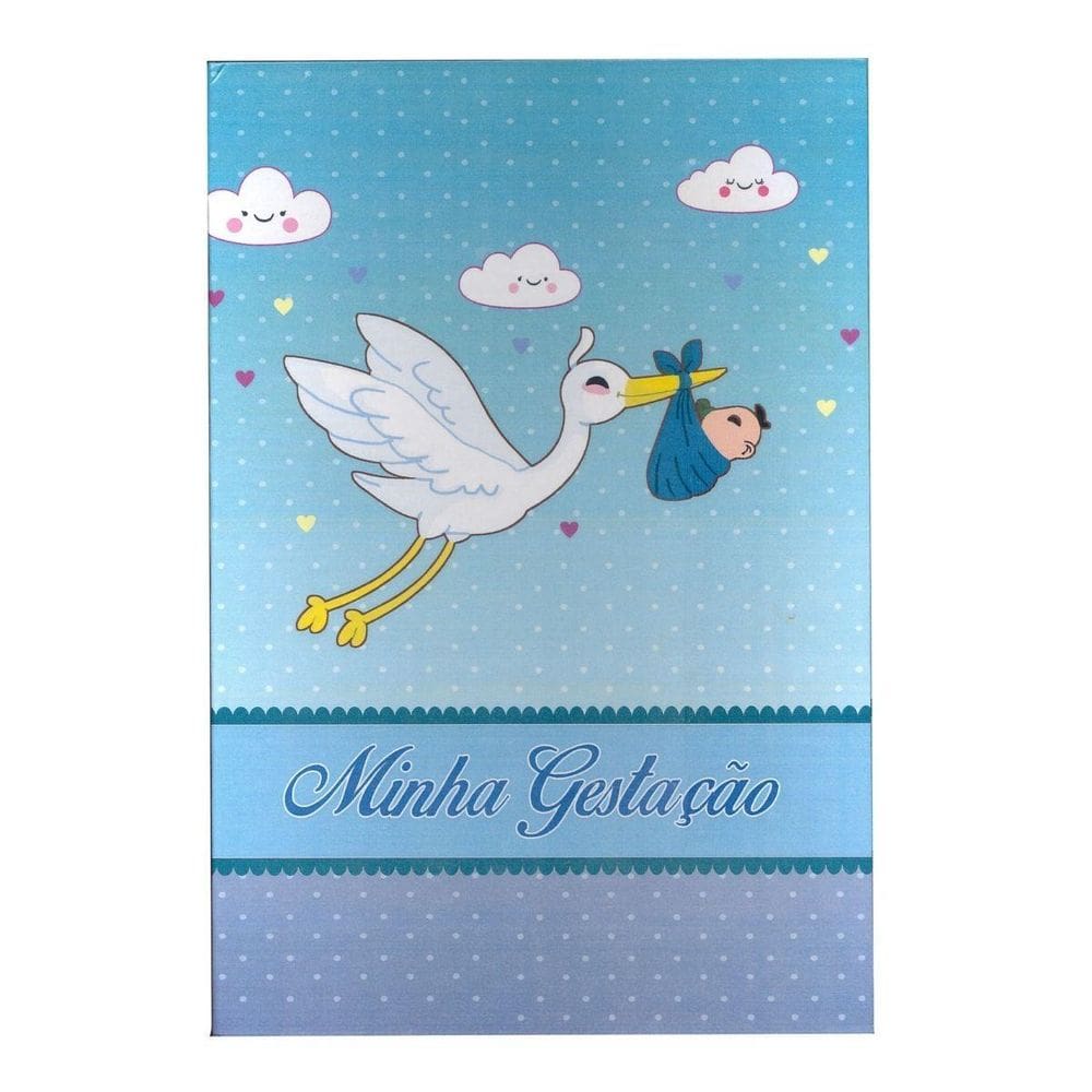 Álbum 240 Fotos 10X15 Especiais C/Memo Rec 118/02