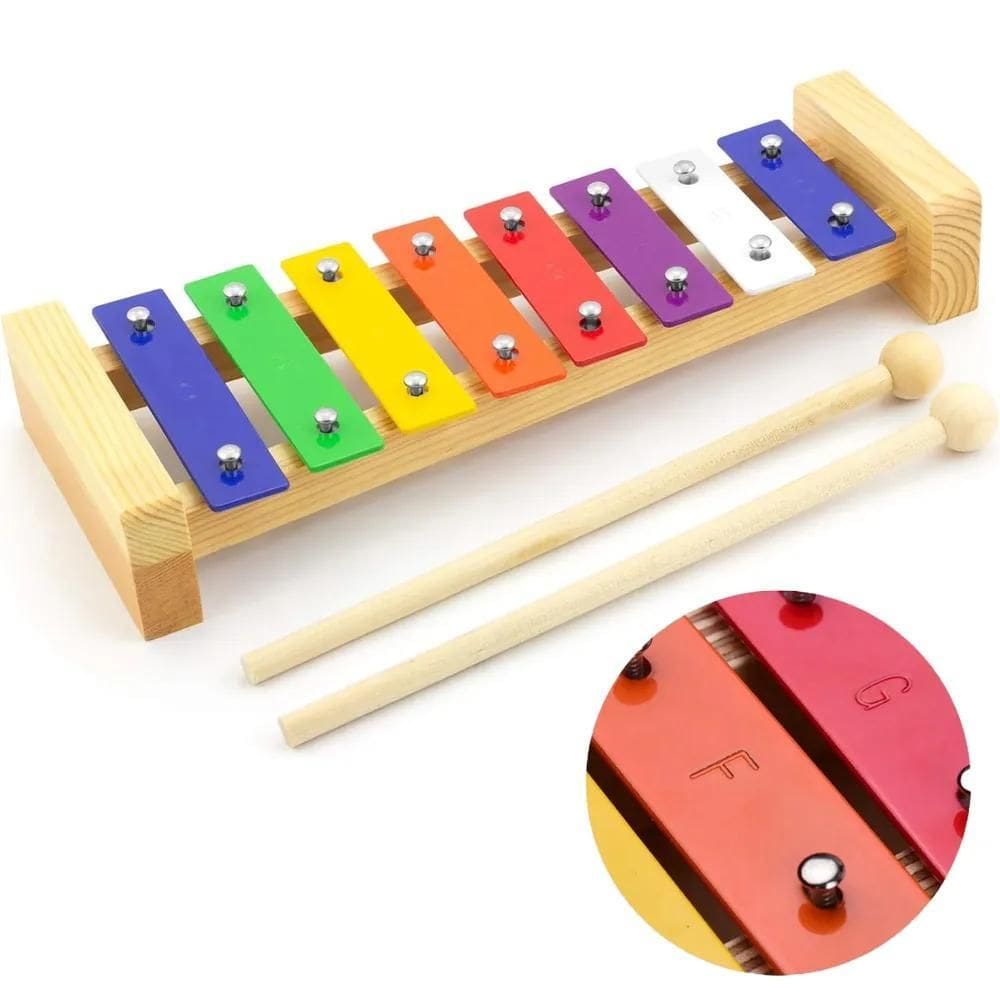 5X Metalofone Xilofone Infantil 8 Notas Rítmica Profissional