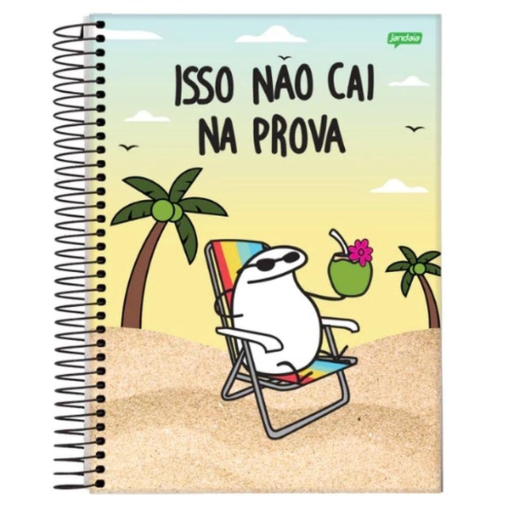 Caderno Universitário 80 Folhas Flork Capa 4 - Jandaia
