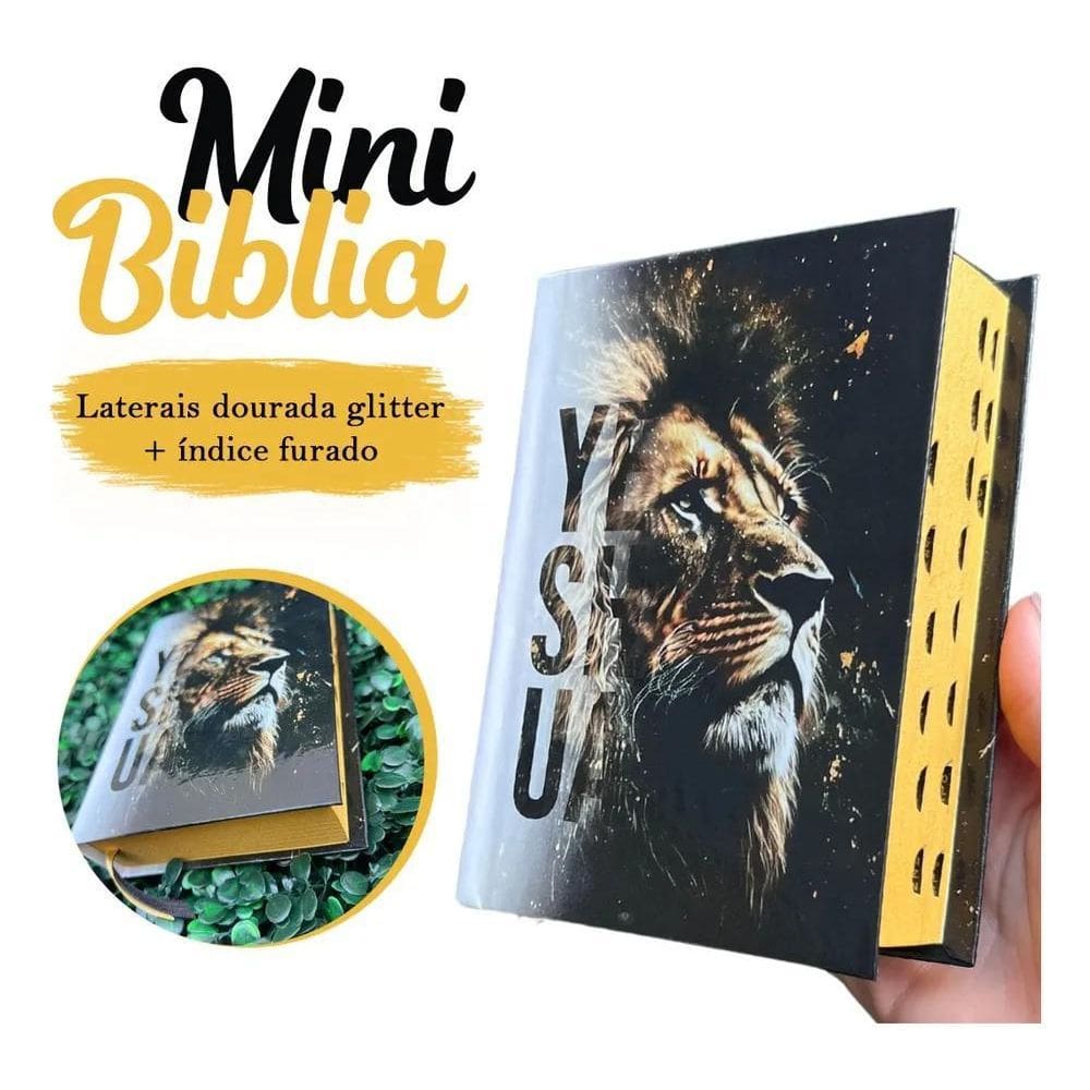 Mini Bíblia Infantil De Bolsa Com Índice Letra Pequena Arc Y