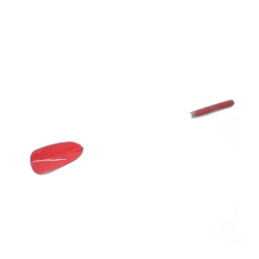 Calcadeira Haste Regulavel Inox Facilita Calcar Longevitech