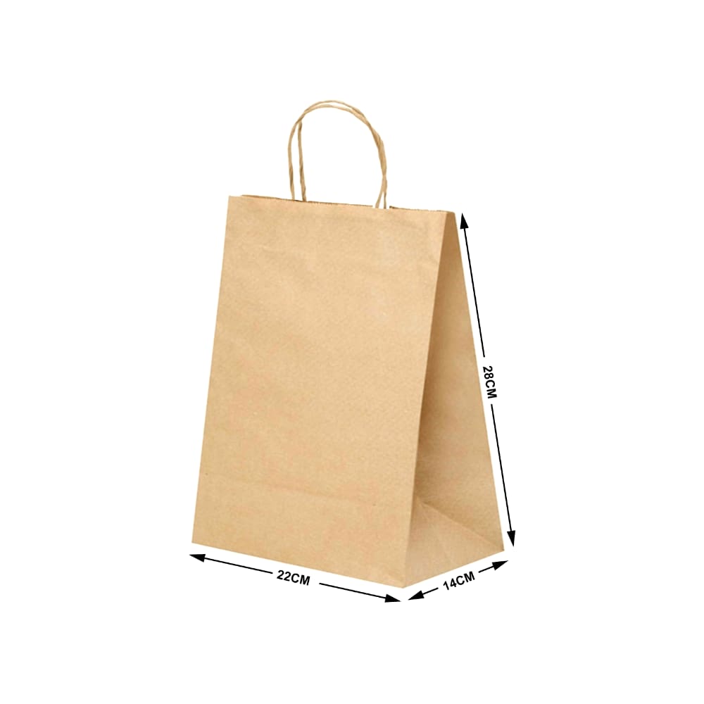 Sacola Kraft 22x14x28 Lisa C/100