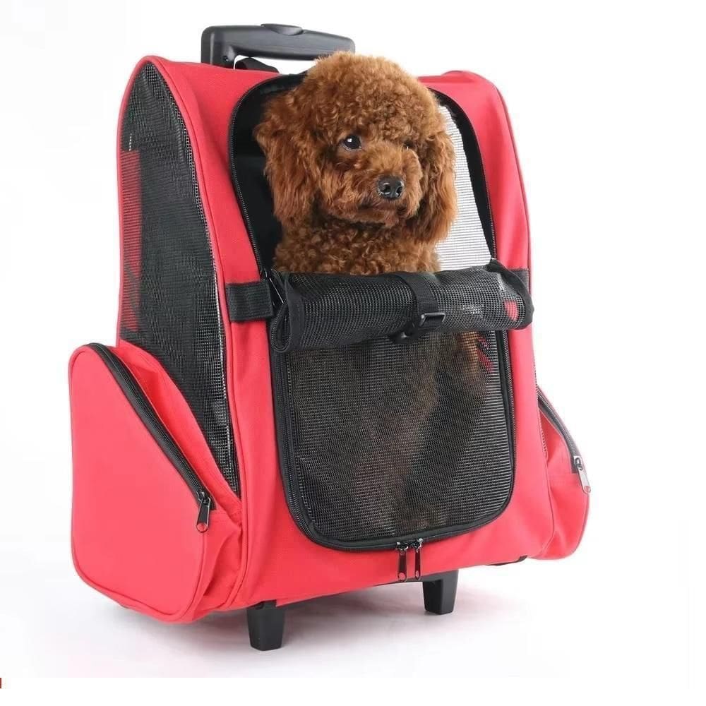 Carrinho Passeio Pet Bolsa Rodinhas Cães Gato Mochila Viagem Calças Canguru Mala Luxo Completa