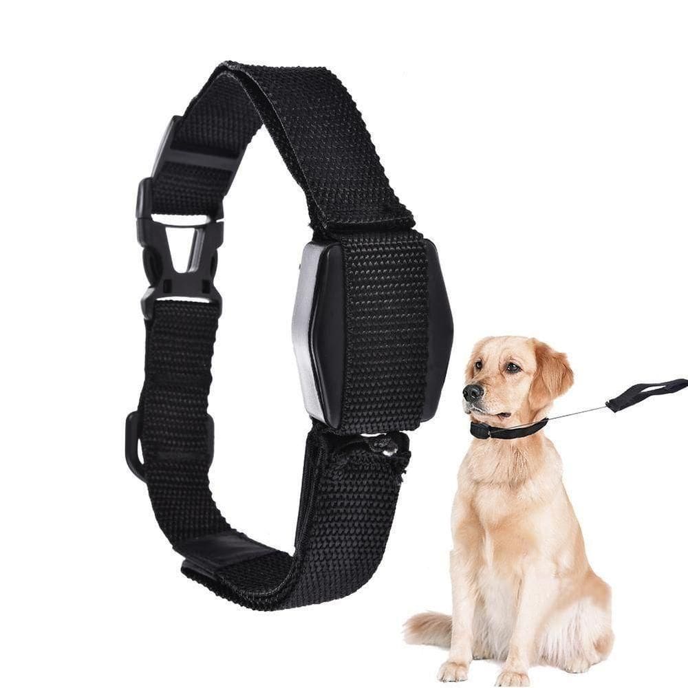 Guia Coleira Magnetica Cachorro 2 Em 1 Retratil Alca Caes Gatos Treinamento Adestramento Lucky Leash