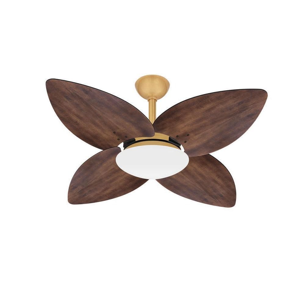 Ventilador Teto Dourado Turbo 4 Pás Imbuia Winds Ventax 220V