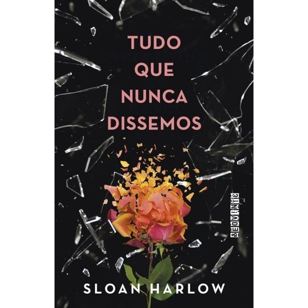 Tudo Que Nunca Dissemos