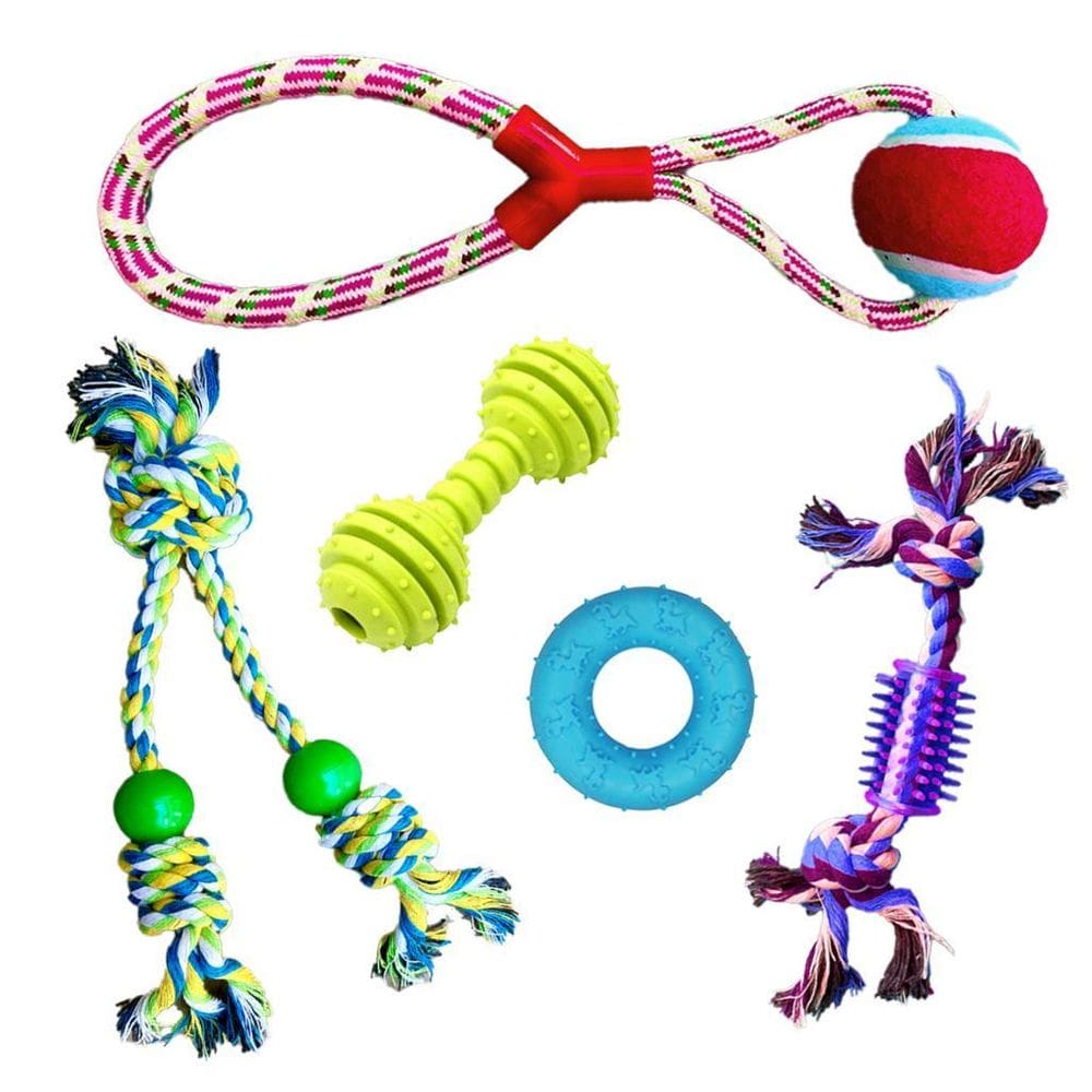 Kit Brinquedos Pet 5 Pcs Cães Porte Peq / Médio / Grande