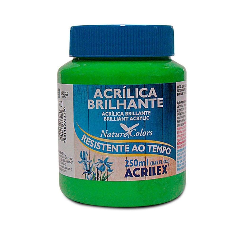 Tinta acrílica brilhante Verde Folha 250ml 510 Acrilex