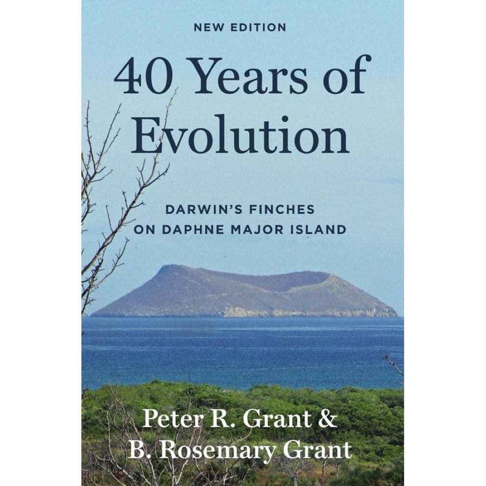 40 Years of Evolution - Inglês