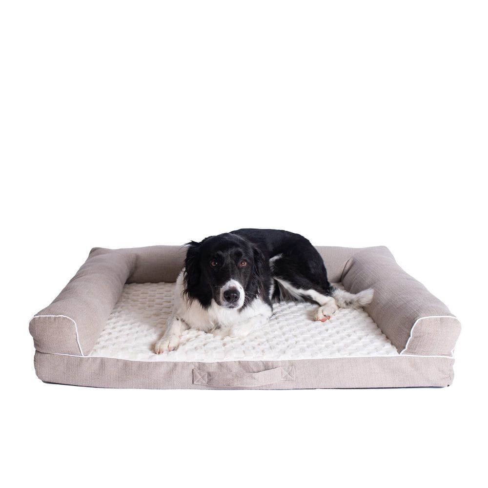 Cama para cães Armarkat D07B Memory Foam, bege, marfim, 89x71x20cm