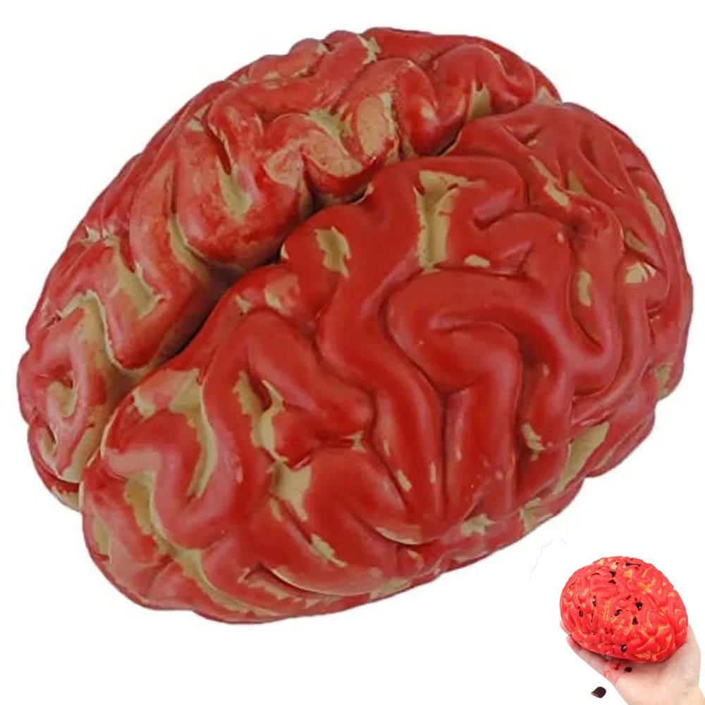 Cerebro Falso Halloween Sangue Artificial Festa Tematica Decoraçao Susto Terror Realista Horripilante Enfeite