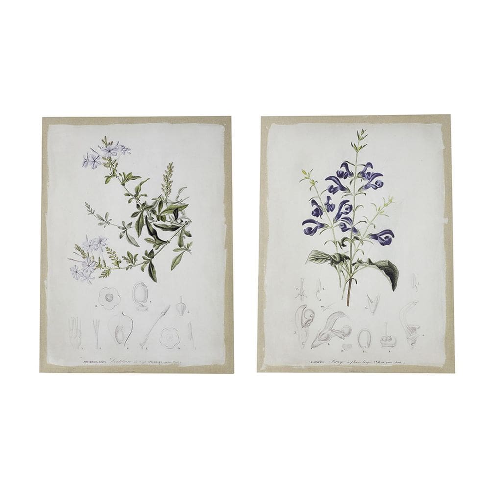 Benzara, 61x80 cm, conjunto de 2 impressões de arte de parede emolduradas florais