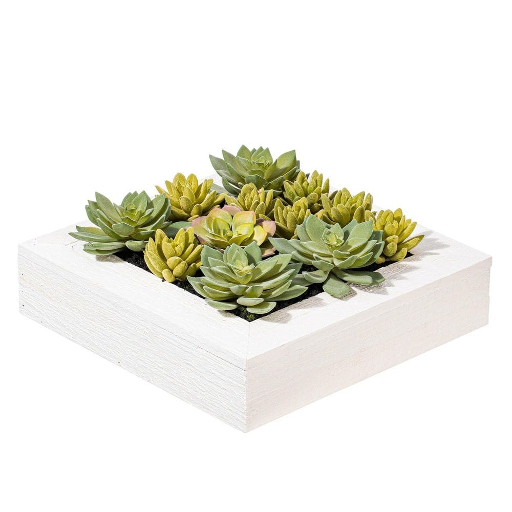 Planta artificial Vickerman Everyday 30x30 cm Verde Suculenta