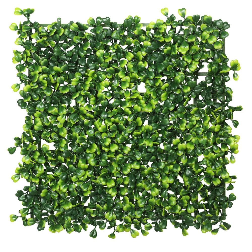 Painéis de parede de buxo verde artificial Vickerman, pacote com 4, 25 cm