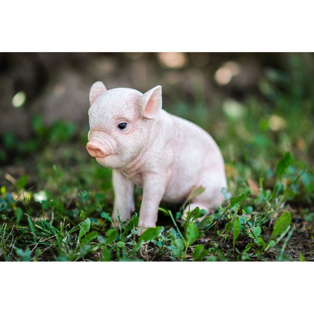 Estatueta Hi-Line Gift Ltd Sitting Baby Pig 15 cm