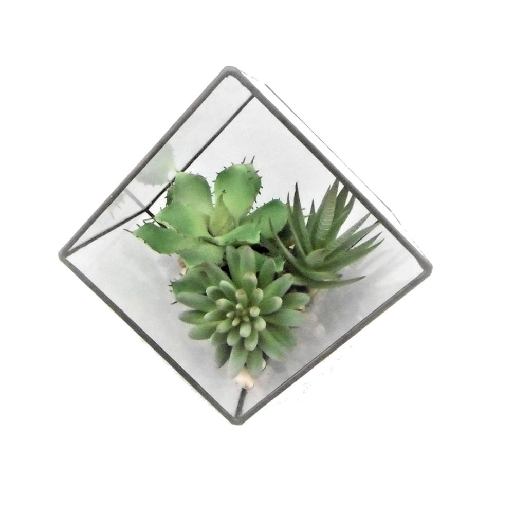 Suculentas artificiais Vickerman, terrário geométrico verde de 19 cm