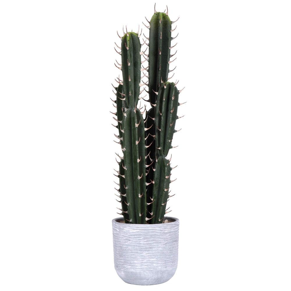Planta de cacto verde artificial Vickerman 27,5 cm - Faux