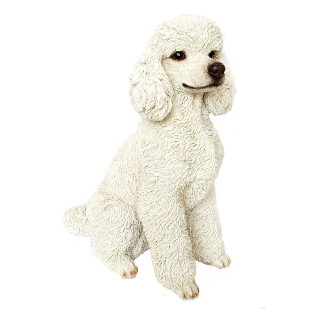 Cão Poodle branco Sculpture Hi-Line Gift Ltd 44x28x53cm