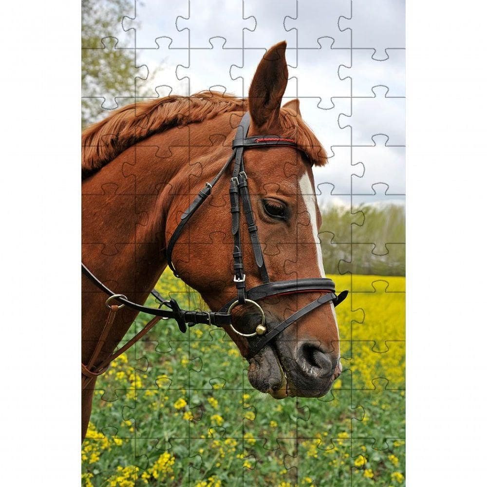 Kit 4 Quebra-cabeças De Cavalos Diversão Inclusiva E Inteligente 60 Peças