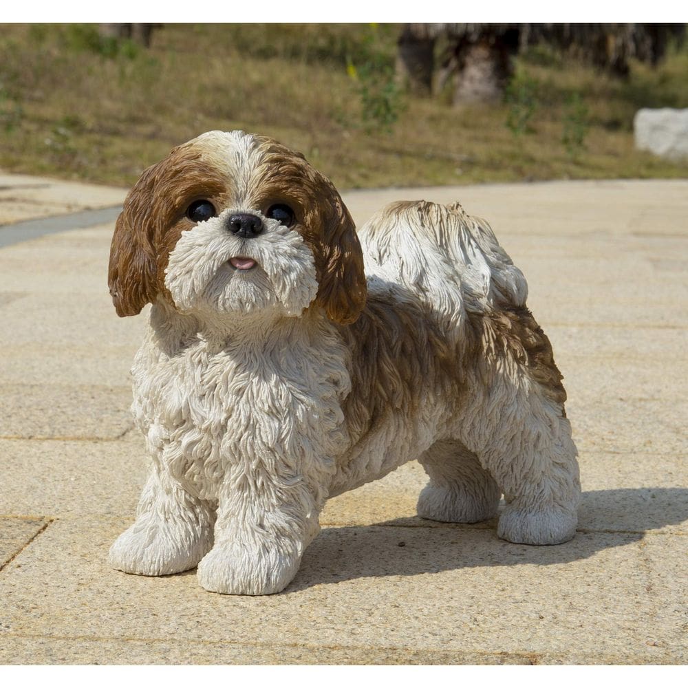 Estatueta de presente de alta linha marrom branca em pé Shih Tzu