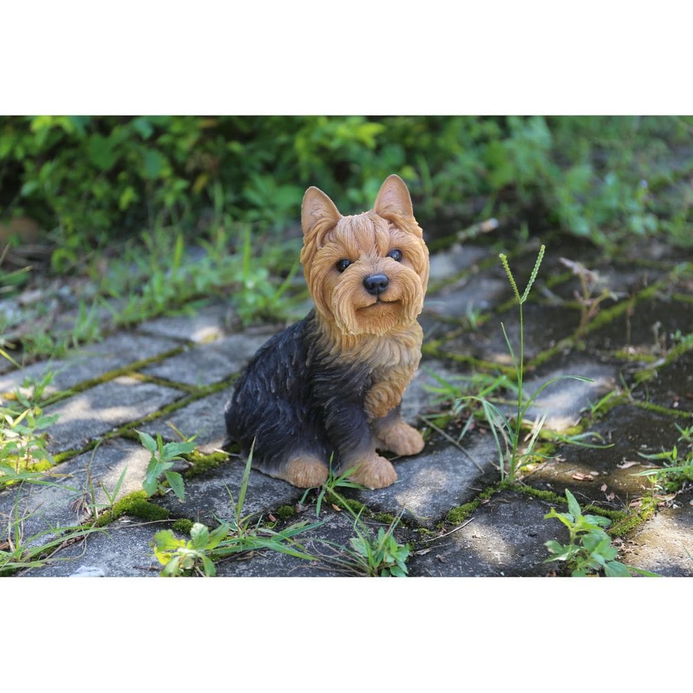 Estatueta Hi-Line Gift Ltd Yorkshire Terrier sentada