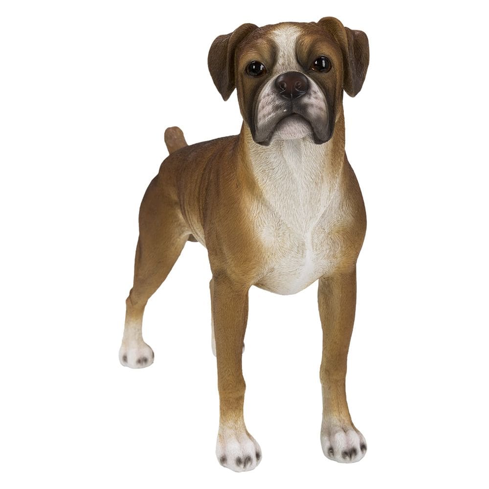 Estatueta Hi-Line Gift Ltd Boxer Dog Polyresin Decor
