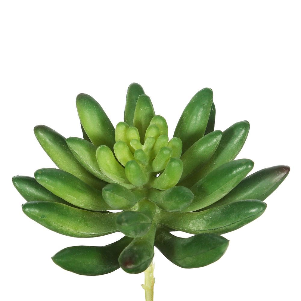 Haste suculenta artificial Vickerman 4” Green, pacote com 6