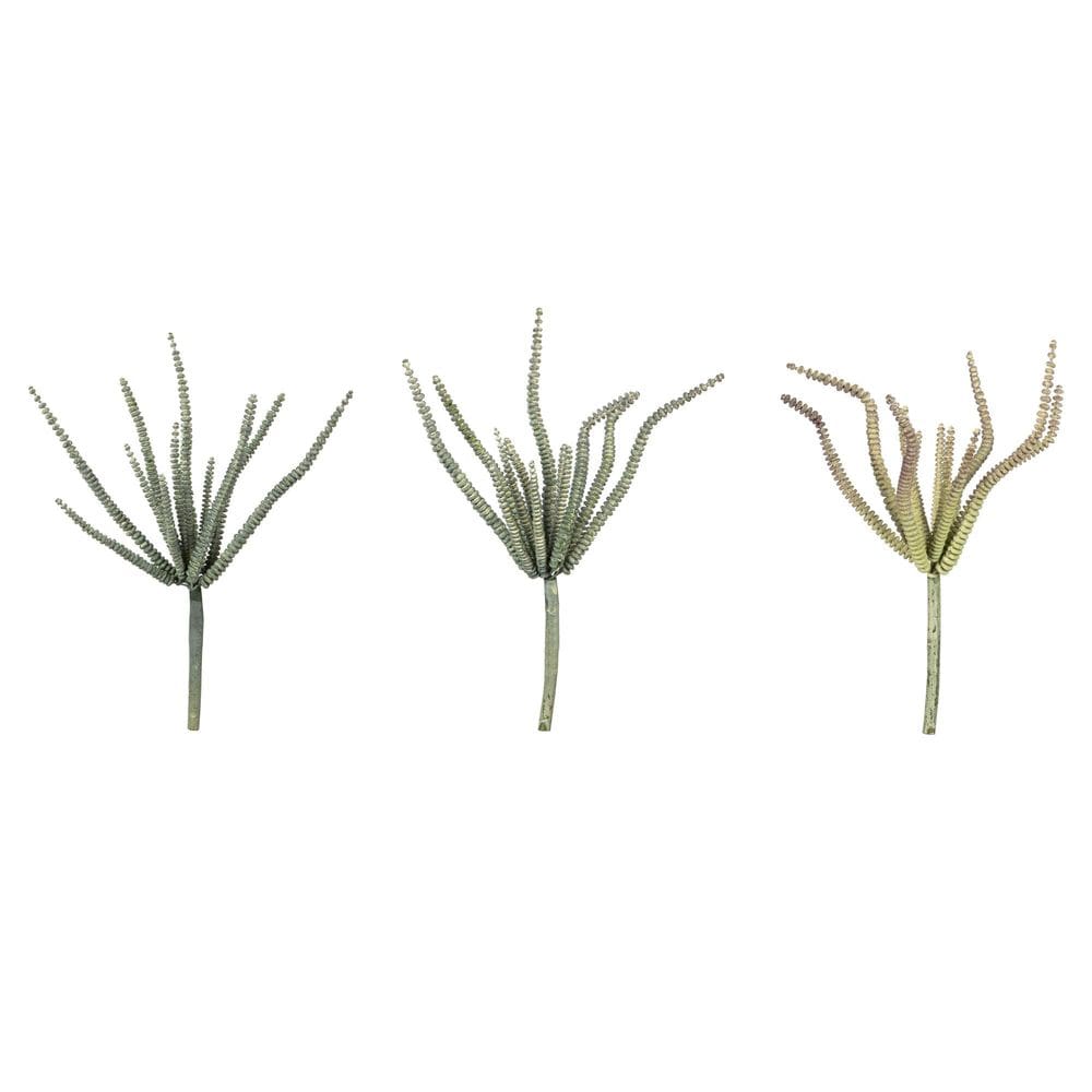 Planta artificial Vickerman Everyday 27 cm Haworthia Spray, pacote com 6