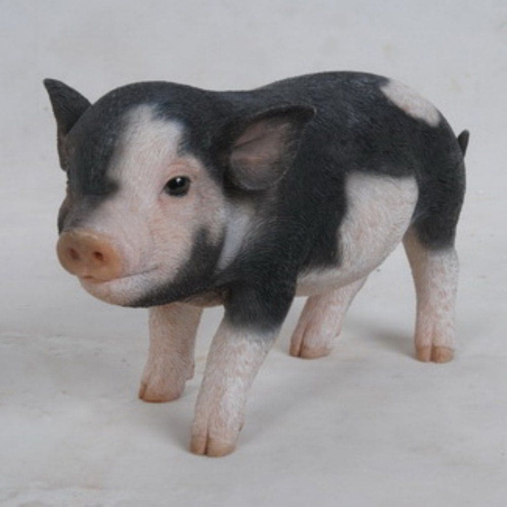 Estatueta Hi-Line Gift Ltd Baby Pig marrom escuro 13 cm