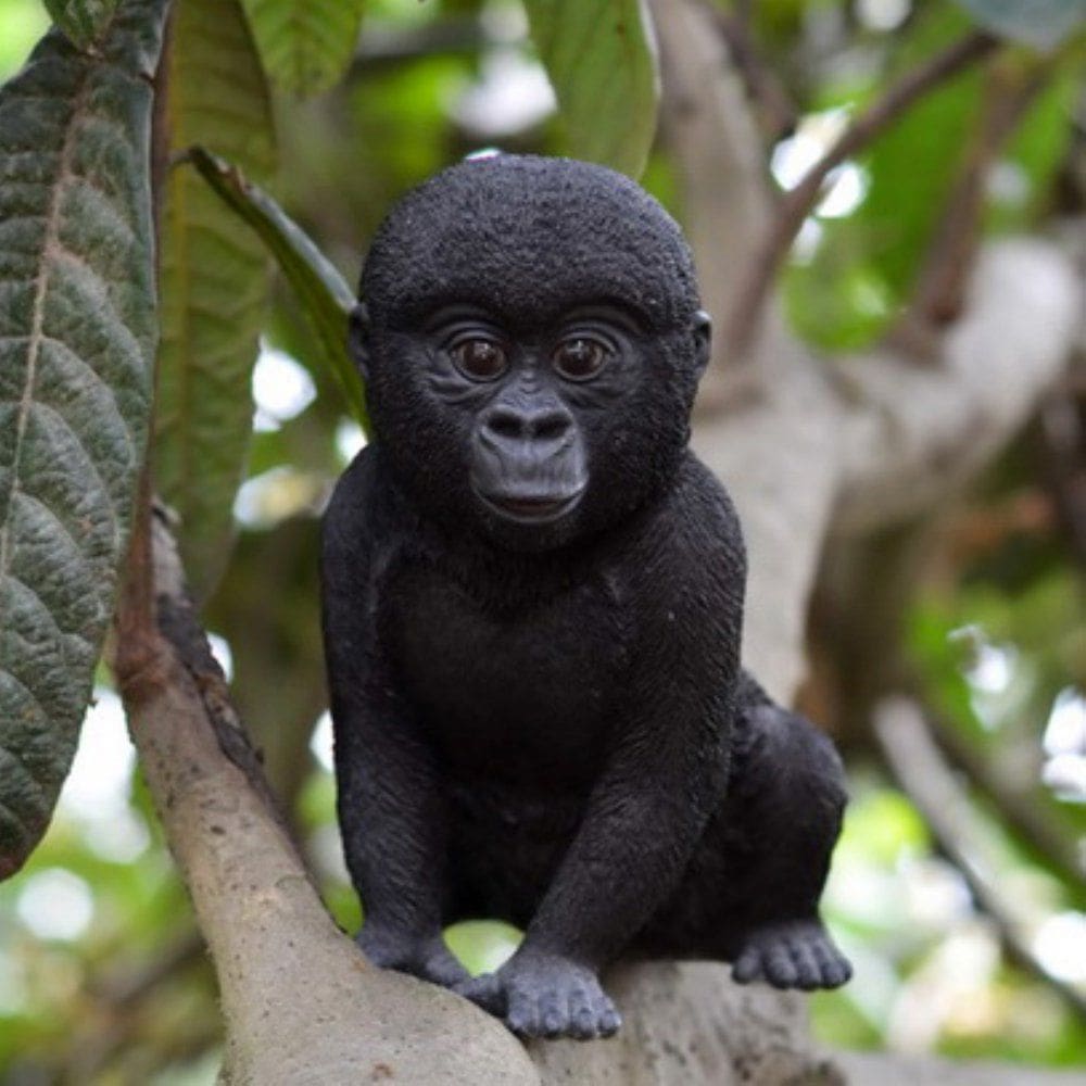Estátua de bebê Gorilla Hi-Line Gift Ltd 18x15x24 cm Poliresina