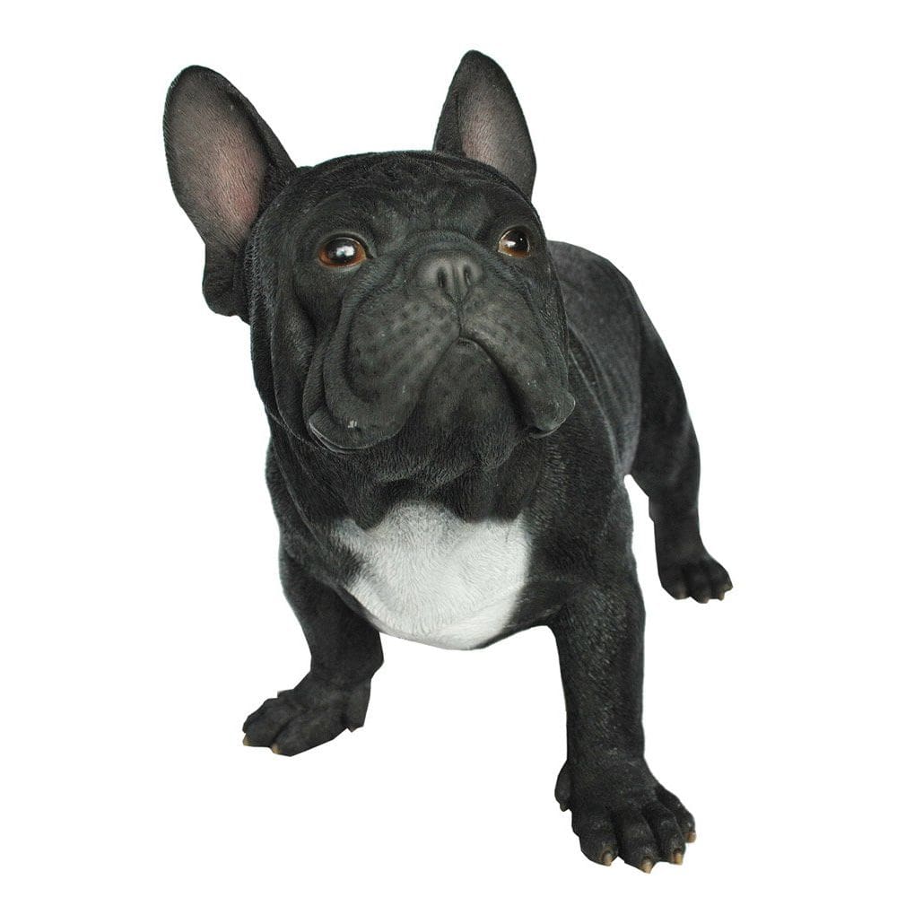 Estatueta Hi-Line Gift Ltd Boston Bull Terrier 56x30x41 cm