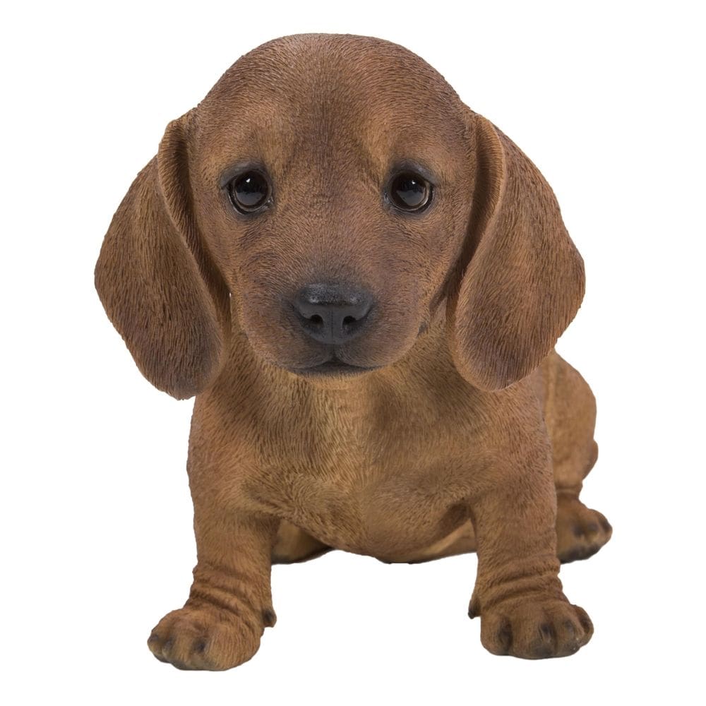 Estatueta Hi-Line Gift Ltd Brown Dachshund Sitting