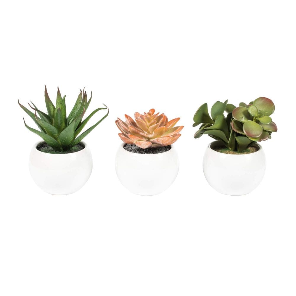 Conjunto de suculentas artificiais Vickerman 3 vasos brancos de 13 cm