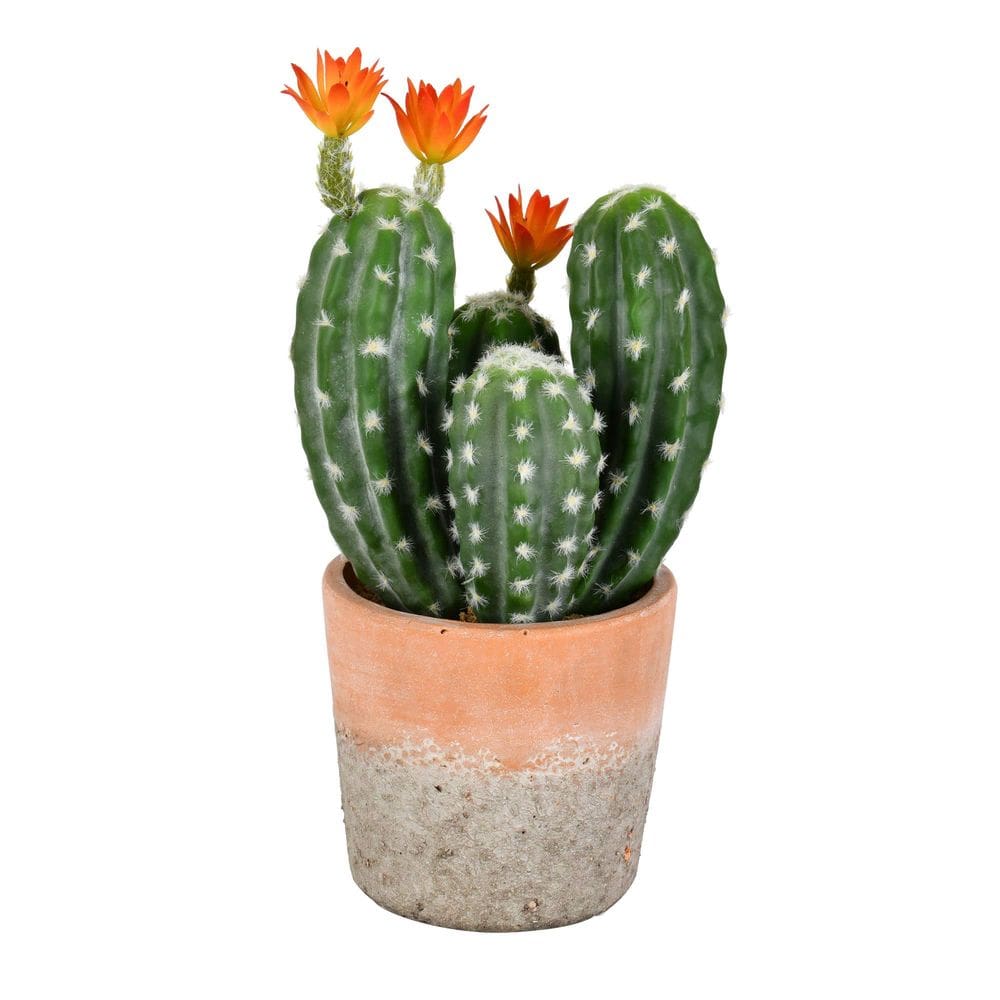 Planta artificial Cacto verde interno Vickerman de 36 cm em vaso de barro
