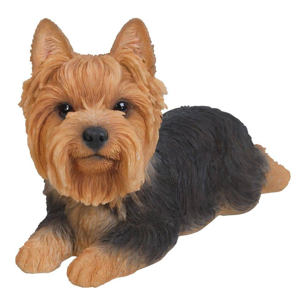 Estatueta de resina de Yorkshire Terrier da Hi-Line Gift Ltd