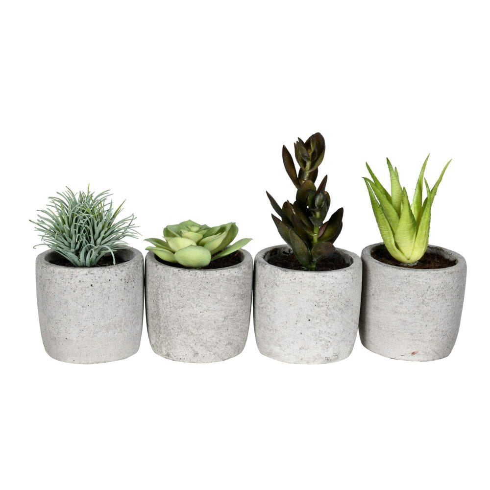 Suculentas artificiais em vasos Vickerman 15 cm, conjunto de 4