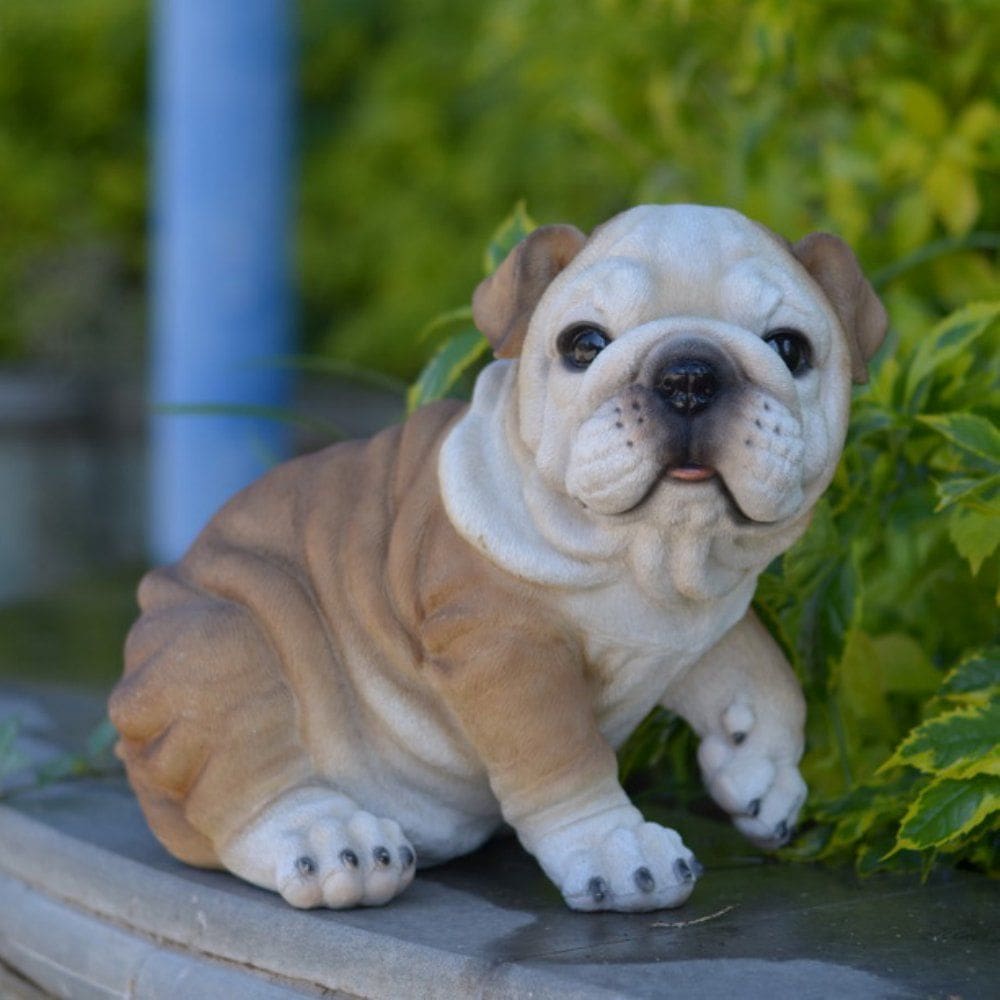 Estatueta Hi-Line Gift Ltd Bulldog Puppy Polyresin em ambientes fechados e ao ar livre