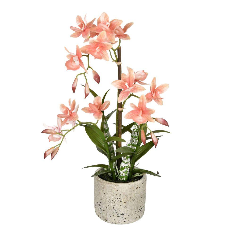 Cycnoches em vasos de luxo artificial Vickerman Everyday 19