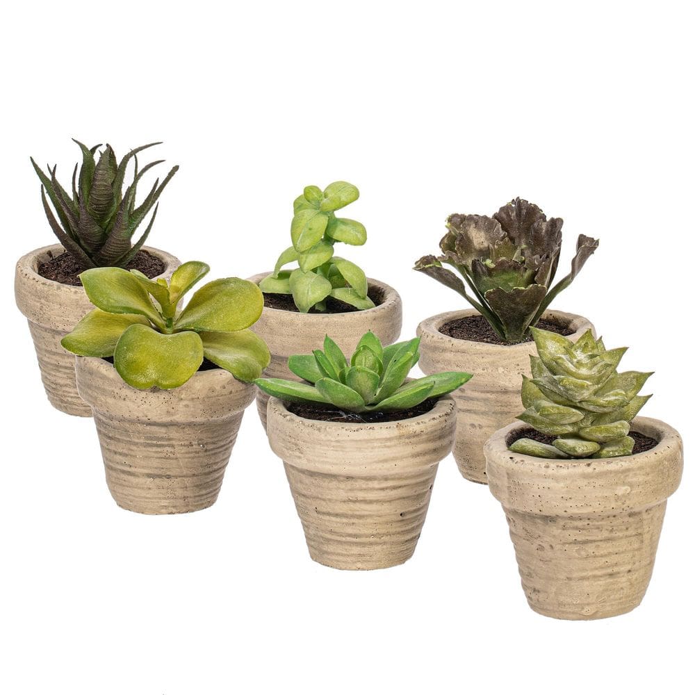 Conjunto de 6 suculentas artificiais em vasos da Vickerman 10cm