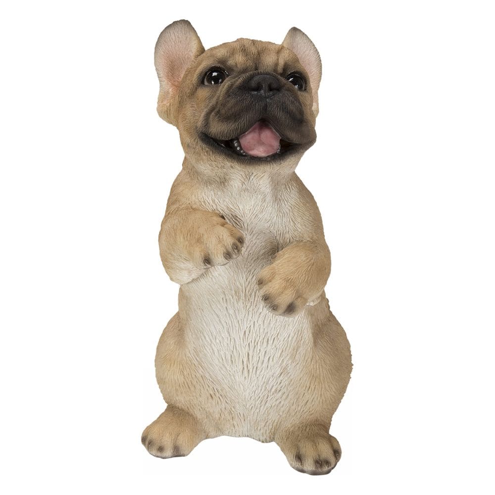 Estatueta Hi-Line Gift Standing French Bulldog Bege Branco