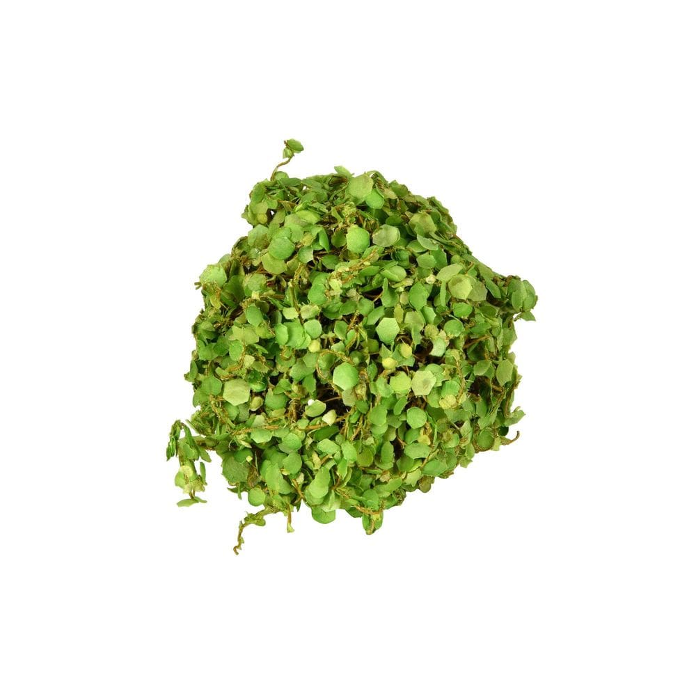Pacote com 4 mini bolas verdes de 10 cm para plantas artificiais Vickerman