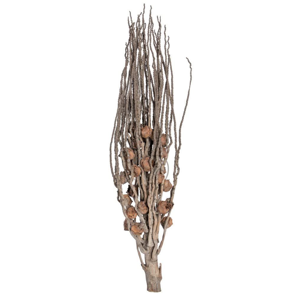Planta artificial Vickerman Coco Jhar 81 cm Natural, pacote com 10
