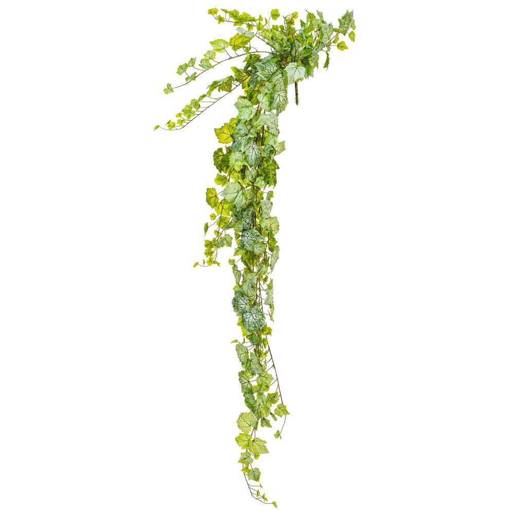 Folha de uva suspensa artificial Ivy Bush 183 cm Vickerman