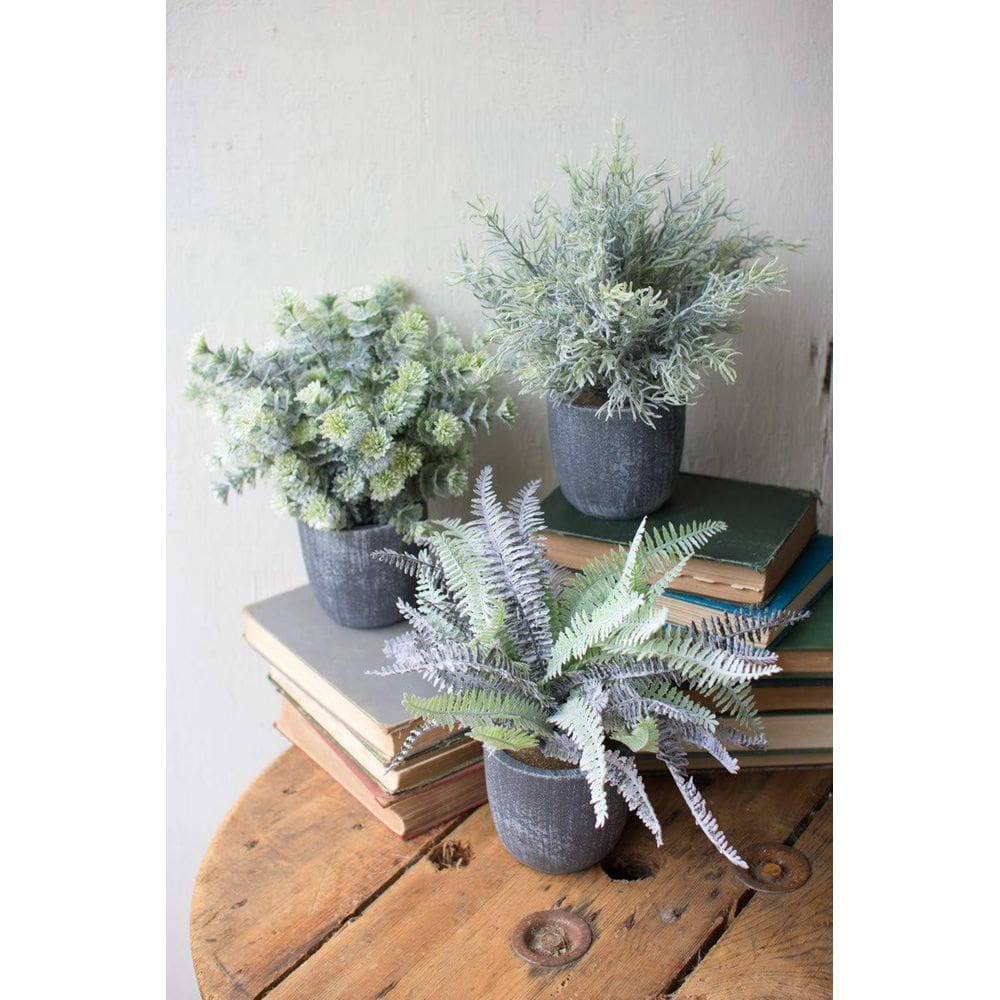 Conjunto de suculentas de samambaia em vaso artificial KALALOU Grey 25x32 cm